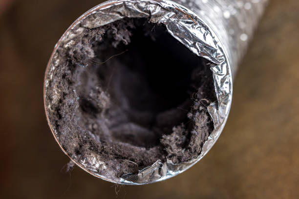 Best Ductwork Cleaning Services  in Chesnut Hill, PA