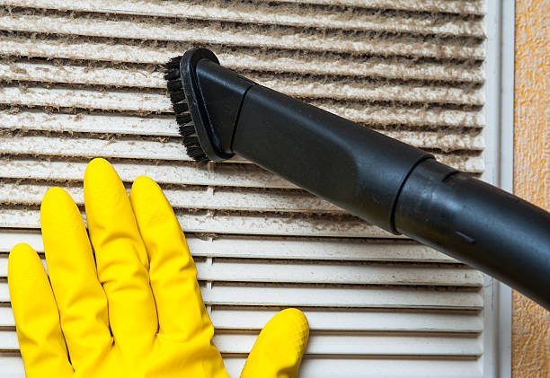 Best Affordable Duct Cleaning Services  in Chesnut Hill, PA